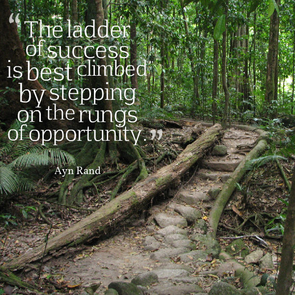 Ladder of Success Stepping on Rungs Of Opportunity